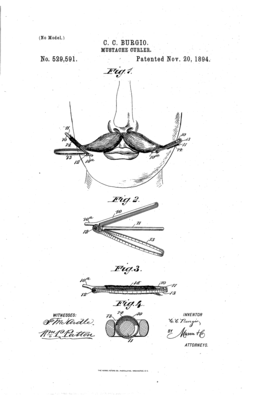 US529591